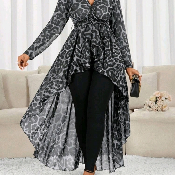 Leopard Print High-Low Dress - Picture 6 of 8